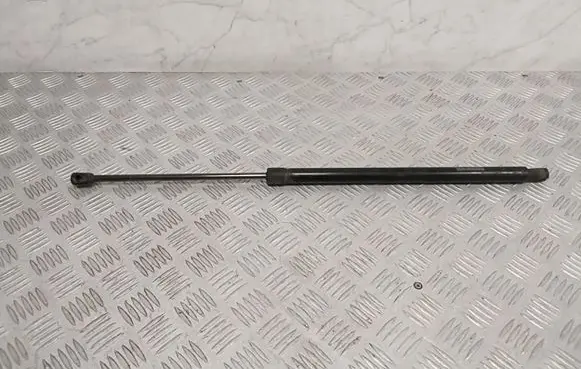 Tailgate strut
