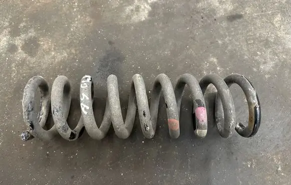 Rear coil spring