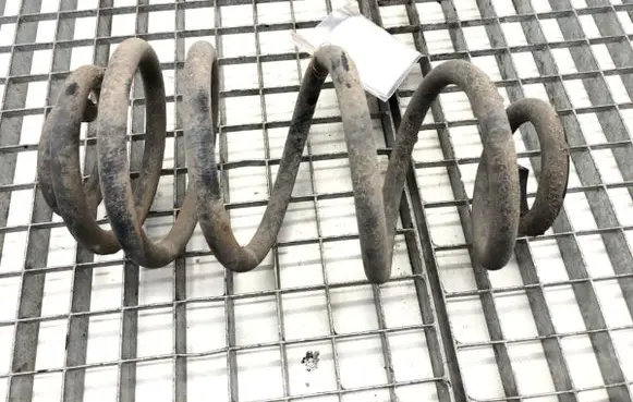 Rear coil spring