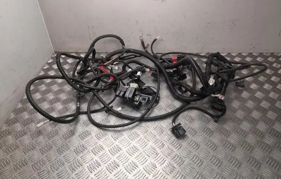 Ligier JS 50 Engine installation wiring loom 1411188
