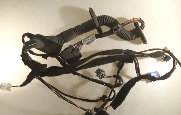Front door wiring loom
