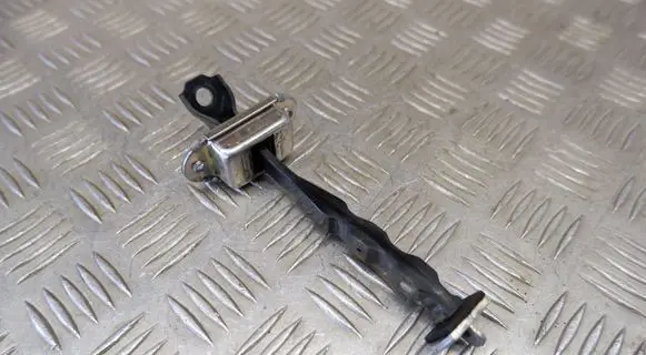 Nissan Leaf II (ZE1) Front door check strap stopper 
