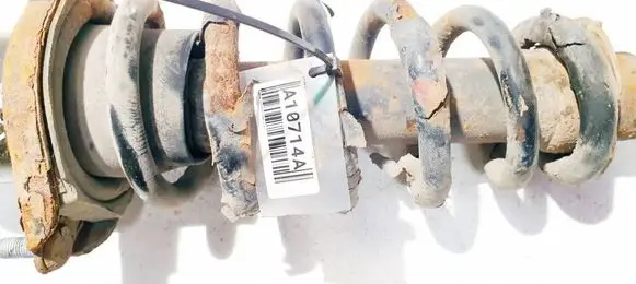 Rear coil spring