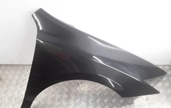 Renault Laguna III Fender