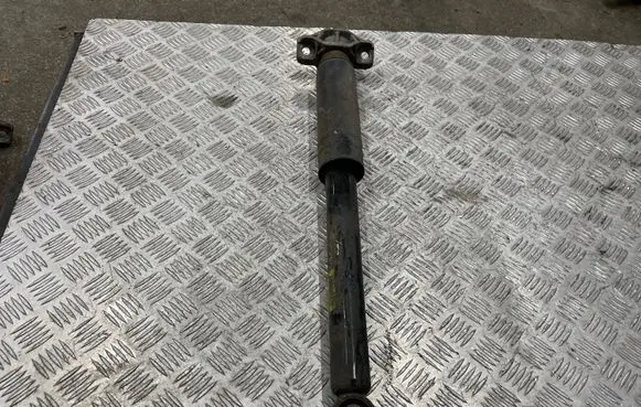 Opel Zafira C Rear shock absorber/damper 13314312