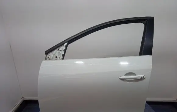 Renault Megane III Front door