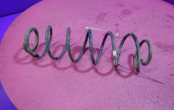 Renault Laguna II Rear coil spring