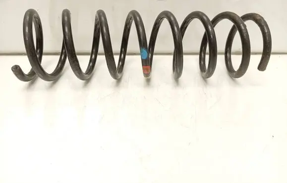 Rear coil spring