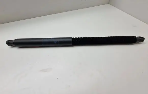 Tailgate/trunk strut/damper