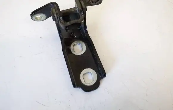 Rear door lower hinge