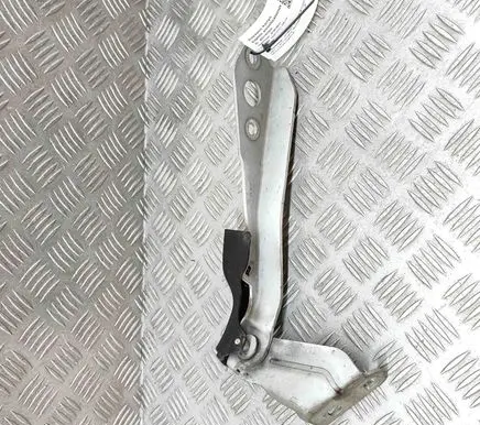 Renault Master III Engine bonnet/hood hinges 654010006R