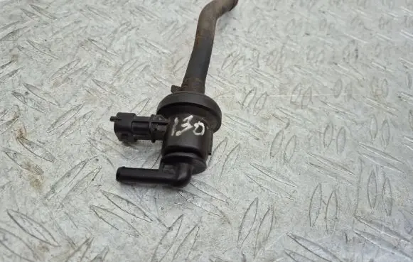 Hyundai i30 Vacuum valve 290102B000 9270930004