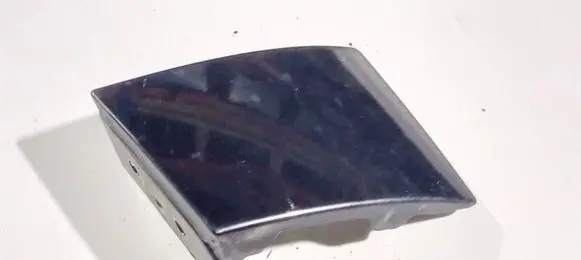 Hyundai Santa Fe Rear/tail light trim molding 