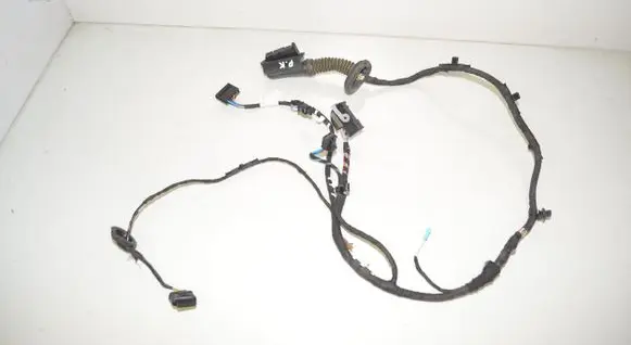 BMW X1 U11 Front door wiring loom 5B32191 5A43569 61125A43569