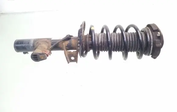 Volkswagen PASSAT B7 Front shock absorber with coil spring 3C0413031D