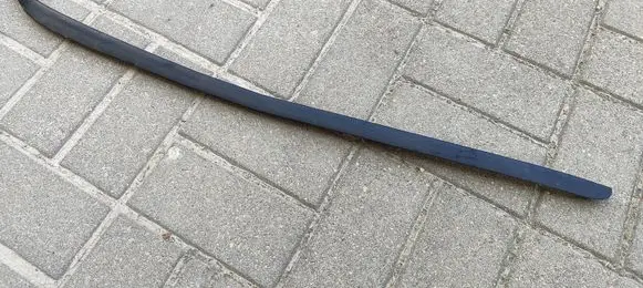 Front door glass trim molding