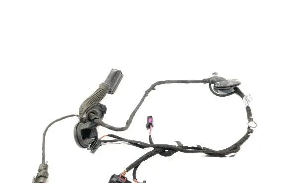 Audi A5 8T 8F Rear door wiring loom 8T8971687J 31072009 TAB010766J