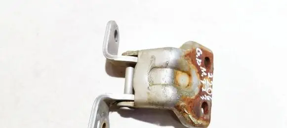 Rear door lower hinge