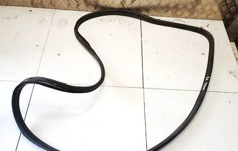 Citroen C2 Rubber seal front coupe door 