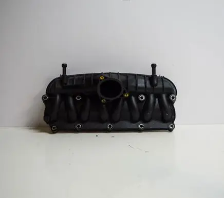 Skoda Octavia Mk2 (1Z) Intake manifold 03G129713AF