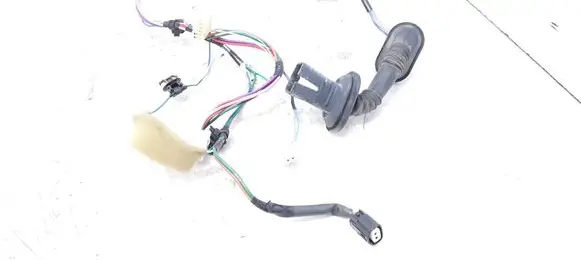Rear door wiring loom
