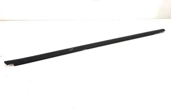 Volkswagen T-Roc Loading door glass trim molding 