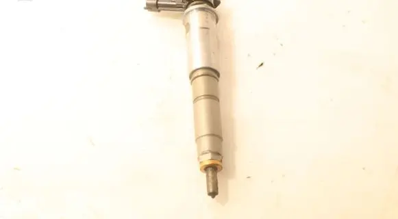 Renault Koleos I Fuel injector 0445115084