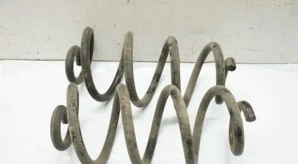 Renault Koleos I Rear coil spring
