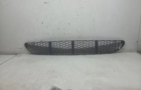 Front bumper lower grill