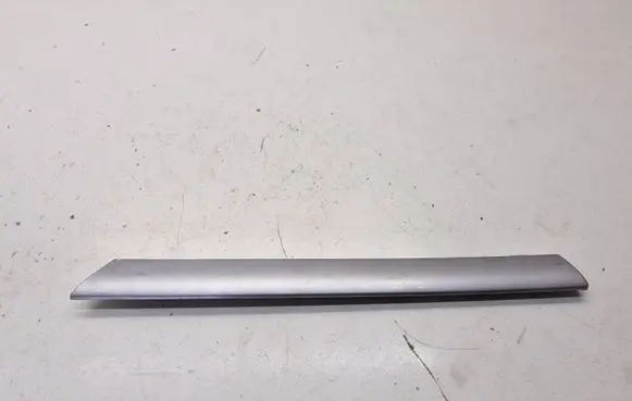 BMW 3 E46 Front door trim bar 8200725 51418200725