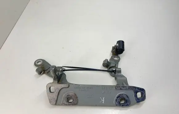 Tailgate/trunk/boot hinge
