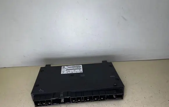 BMW 7 E65 E66 Fuel injection control unit/module 6135916296301 916296301 000541604