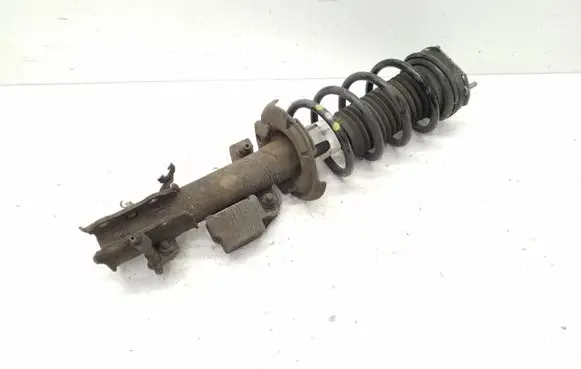 Ford B-MAX Front shock absorber/damper AP3118045CF