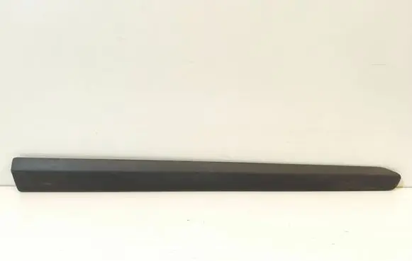 Front door trim (molding)