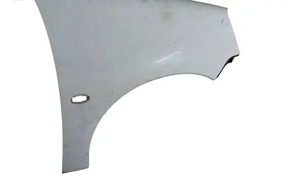 Peugeot Partner Fender