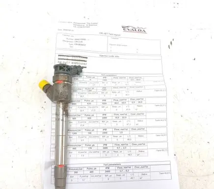 Peugeot Partner III Fuel injector 0445110955