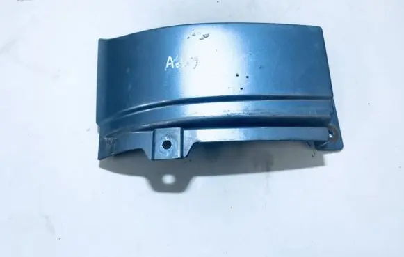 Rear/tail light trim molding