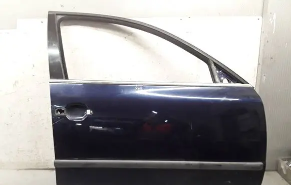 Volkswagen PASSAT B5.5 Front door