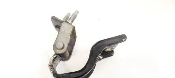 Volkswagen PASSAT B6 Tailgate/trunk/boot hinge 3c9827302b