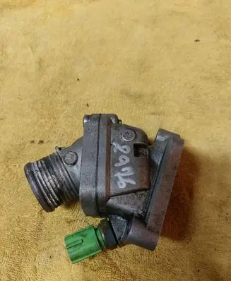 Thermostat/thermostat housing