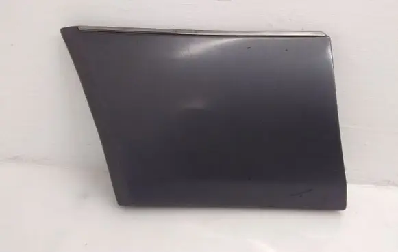 Fender trim (molding)