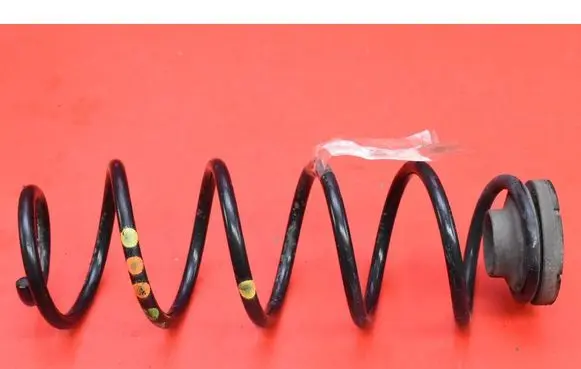 Rear coil spring