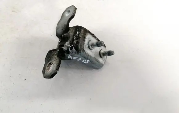 Renault Laguna II Rear door lower hinge