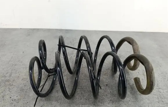 Opel Signum Front coil spring 