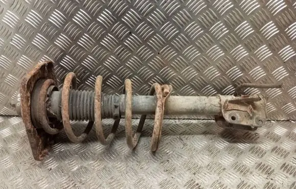 Peugeot 806 Front shock absorber with coil spring