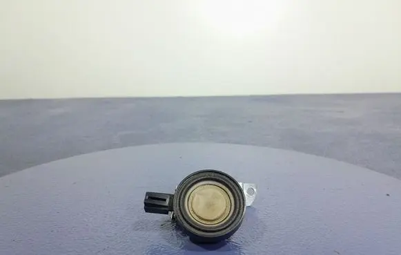 Audi Q7 4M Subwoofer speaker 4M0035399N