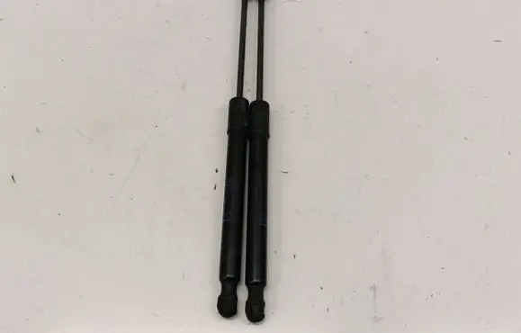 Opel Crossland X Tailgate/trunk strut/damper 39117353