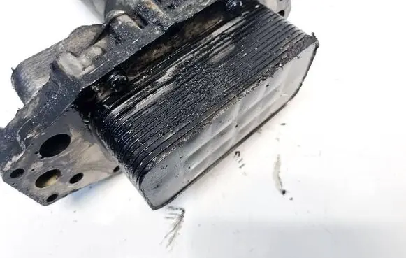 Land Rover Range Rover Sport L320 Engine oil radiator 