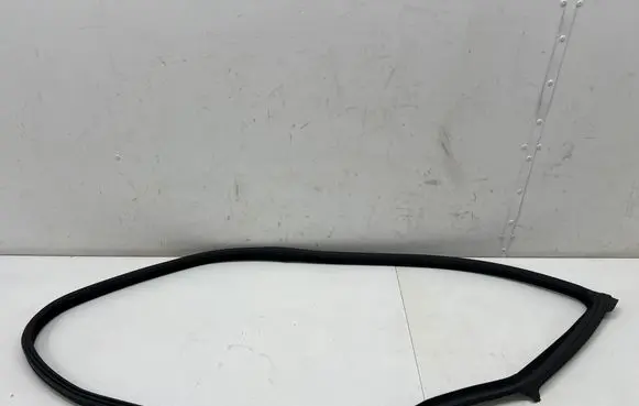 BMW 6 F06 Gran coupe Front door rubber seal 7275297