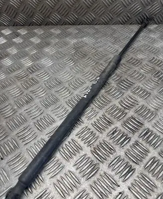 Land Rover Range Rover Sport L320 Tailgate/trunk strut/damper 6H32406A10AC